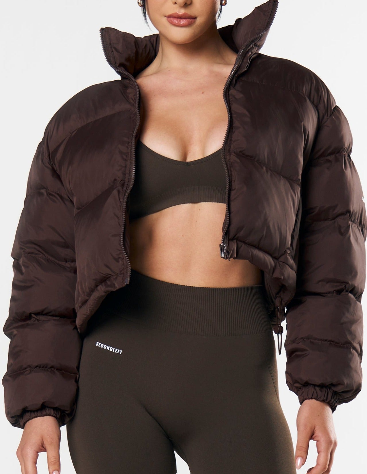 cropped-puffer-brown