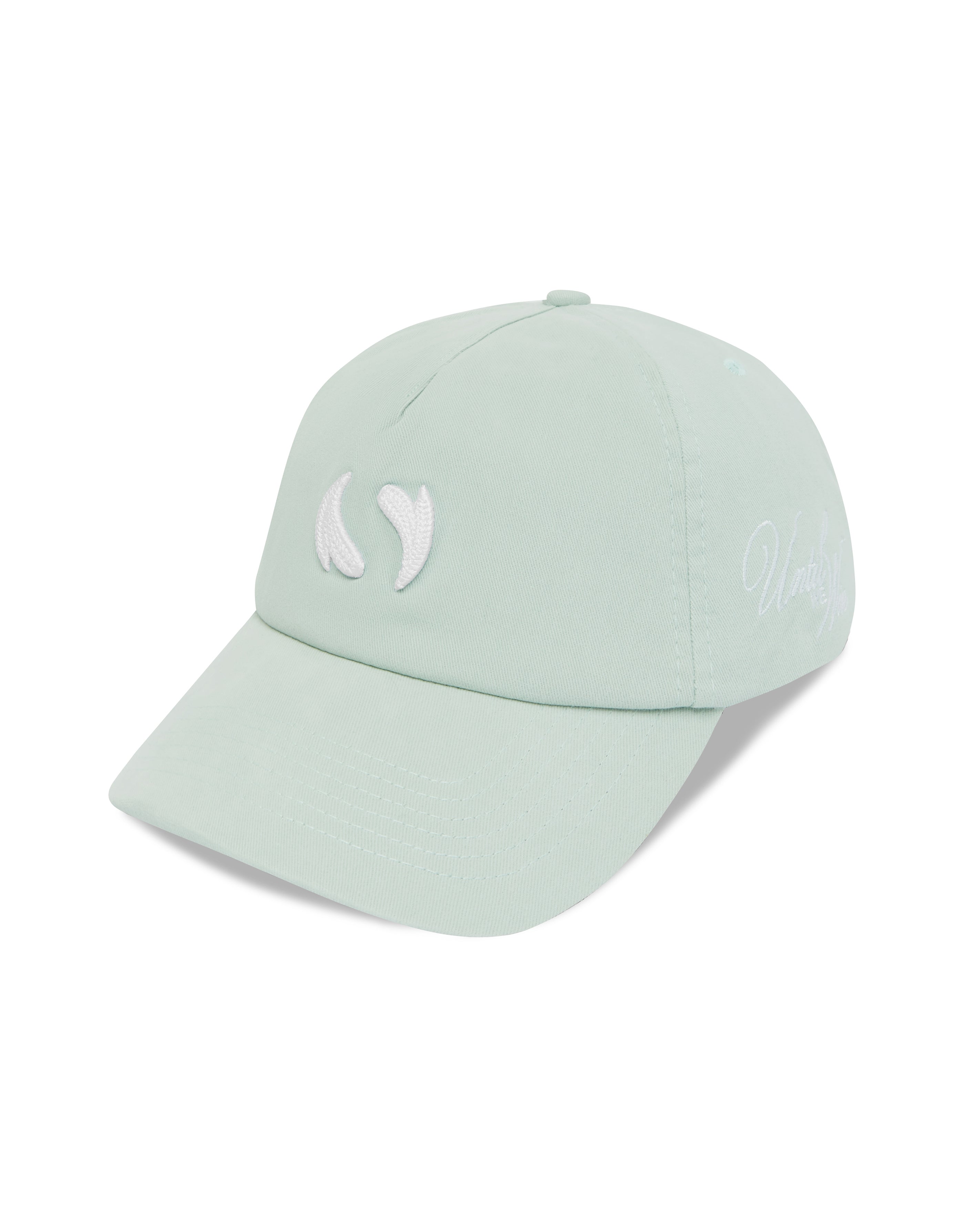 Until We Win Cap - Ice