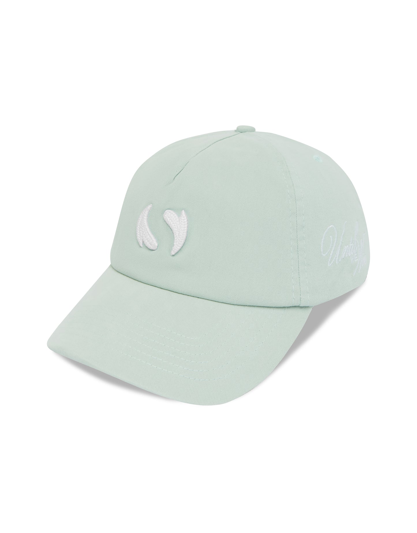 Until We Win Cap - Ice